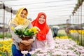 Two Muslim worker girls are standing and smiling among pink and yellow flowers in the garden during day time. One wear yellow Royalty Free Stock Photo