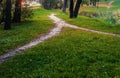 Two narrow footpaths in the park near the highway merged into a single path that goes to the side and into the distance Royalty Free Stock Photo