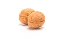 Two native walnuts, close up macro, isolated on a white background Royalty Free Stock Photo