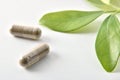 Two natural medicine capsules and plant on white table detail Royalty Free Stock Photo