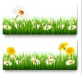 Two nature banners with colorful spring flowers Royalty Free Stock Photo