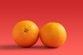 Two Navel oranges Royalty Free Stock Photo