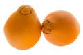 Two navel oranges Royalty Free Stock Photo