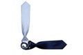 Two neck tie isolated Royalty Free Stock Photo