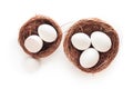 Two nests with eggs on white background, isolated Royalty Free Stock Photo