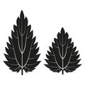 Two nettle leaves silhouette with contours