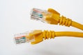 Two network cables Royalty Free Stock Photo
