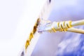 Two network cables connected to the hub Royalty Free Stock Photo