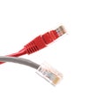 Two network cables Royalty Free Stock Photo