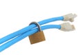 Two network cables secured with padlock (shallow DOF) Royalty Free Stock Photo