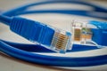 Two network RJ45 plugs of blue colour macro. Blue RJ45 CAT6 shielded network data internet cable in coils and connectors