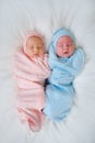 Two newborn baby twins boy and girl Royalty Free Stock Photo