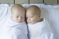 Newborn Twin Babies Swaddled in White