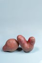 Two non-standard ugly fresh raw potato unusual form on light blue background. Waste zero food. Vertical, copy space