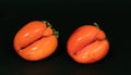 Two non-standard ugly ripe orange persimmons on black background close up.