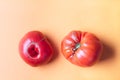 Two nonstandard red tomatoes on a colored terracotta background. Copy of the space