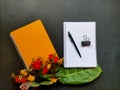 Two notebook and ballpoint at black background Royalty Free Stock Photo