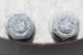 Two frozen female screw