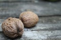 Two nuts on a table Royalty Free Stock Photo