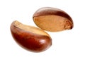 Two nuts Vitellaria paradoxa , commonly known as shea tree or sh