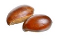 Two nuts Vitellaria paradoxa , commonly known as shea tree or sh
