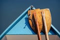 Two Oars Royalty Free Stock Photo