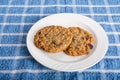 Two Oatmeal Raisin Cookies on White Plate Royalty Free Stock Photo