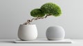 Two objects are placed on a rectangular white platform