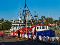 Ocean Going Fishing Trawlers, Sydney Fish Markets, Australia