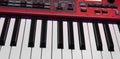 Two octaves electronic musical keyboard synthesizer close-up