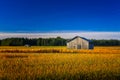 Two Old Barns On An Autumn Field