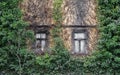 Two old box windows and a overgrown facade Royalty Free Stock Photo