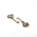 Two old bronze keys with reflection in a white mirror background Royalty Free Stock Photo