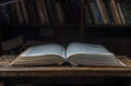 Two old brown books Royalty Free Stock Photo