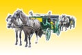 Two old carriages pulled by a couple of horses - image isolated