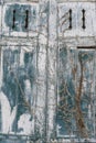 Two old closed windows with dry ivy on a wooden house. Background and texture Royalty Free Stock Photo