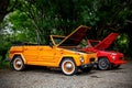 Two old convertibles with open hood in the jungle Royalty Free Stock Photo