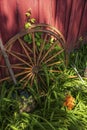 Old wooden wagon wheels resting on a barn Royalty Free Stock Photo