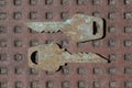two old gray metal keys in rust Royalty Free Stock Photo