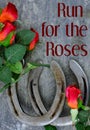 Two old horse shoes paired with silk red roses on a scratched up steel background