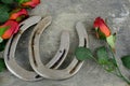 Two old horse shoes paired with silk red roses on a scratched up steel background