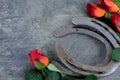 Two old horse shoes paired with silk red roses on a scratched up steel background