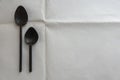 Two old iron spoons on white background with a copy space on the right