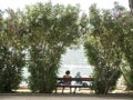 Two old man figure on seaside bench with bushes back view Royalty Free Stock Photo