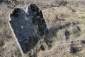 Two old moss covered jewish tombstones with barely readable hebrew letters, located on abandoned jewish cemetery