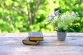 two old paper books in black cover, family bible lie on wooden table in garden, beautiful blurred natural landscape in background Royalty Free Stock Photo