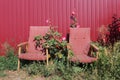 Two old rusty empty red armchairs standing in flowers next to a metal red fence Royalty Free Stock Photo