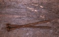 Two old rusty nails rest on a wooden background. Construction concept or religious theme Royalty Free Stock Photo