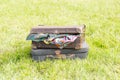 Two old suitcase on grass Royalty Free Stock Photo