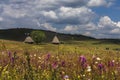 Two old traditional Romanian barn or shack with straw roof Royalty Free Stock Photo